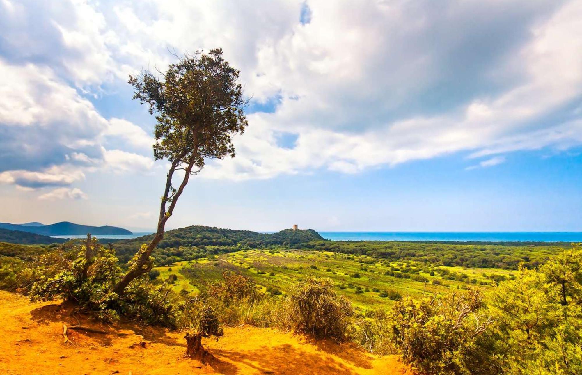 Agriturismo Capricorni ماسا ماريتيما المظهر الخارجي الصورة