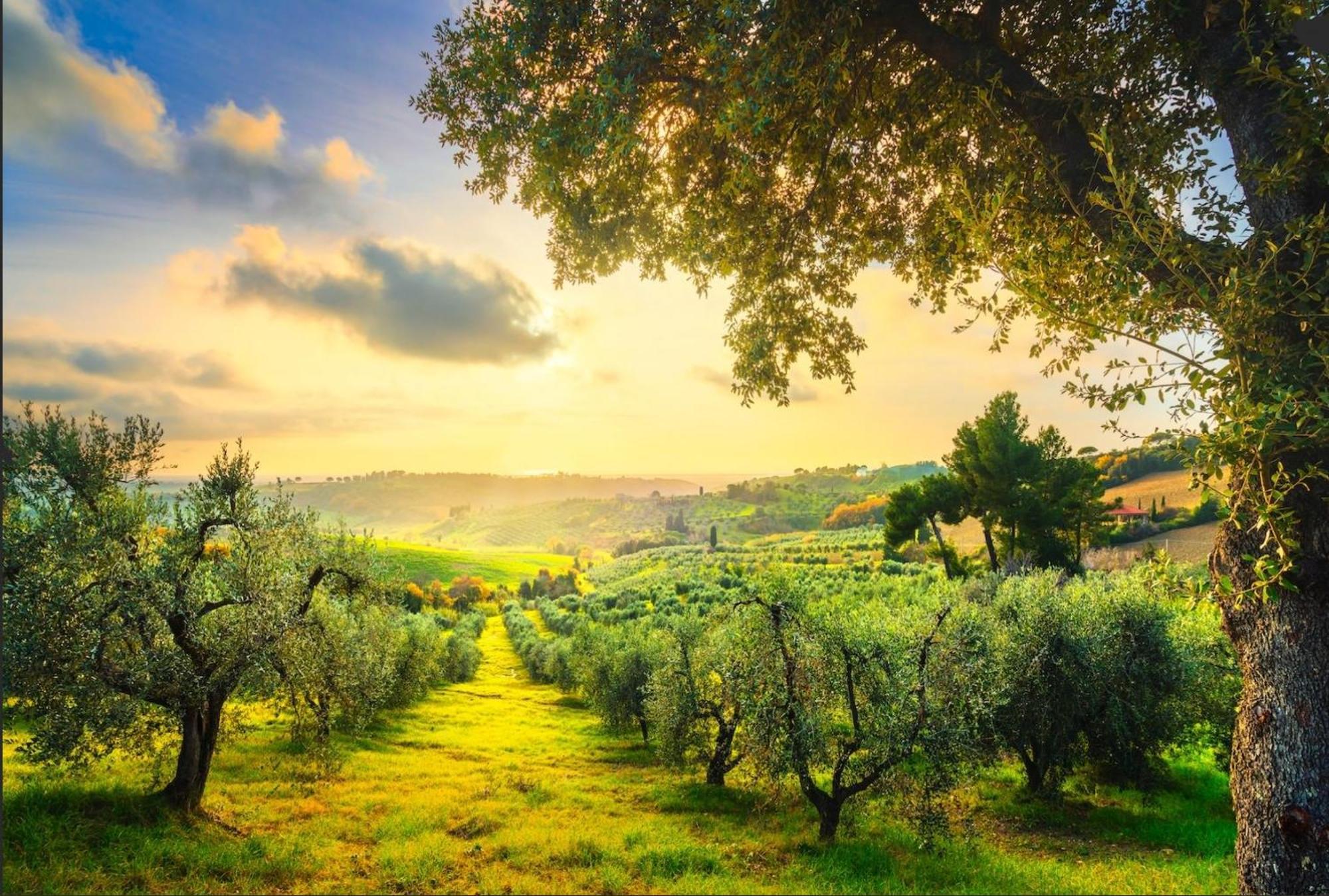 Agriturismo Capricorni ماسا ماريتيما المظهر الخارجي الصورة